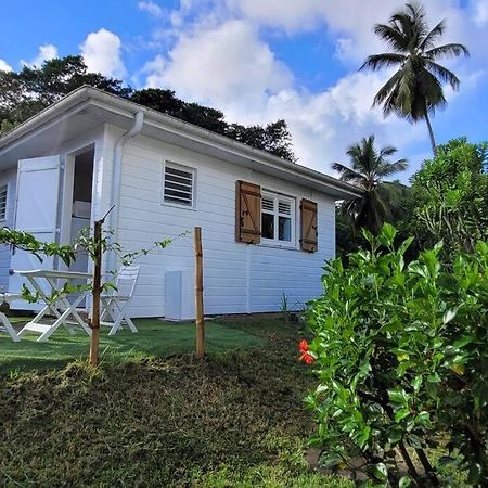 Ti-Hibiscus Bungalow T1 Clim-Wifi 30M2 2 Pers Grande Savane Esterno foto