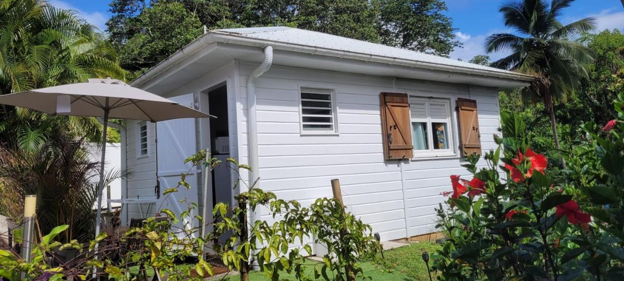 Ti-Hibiscus Bungalow T1 Clim-Wifi 30M2 2 Pers Grande Savane Esterno foto